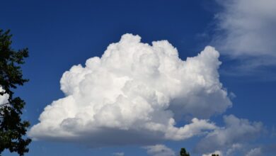 cloud brokerage
