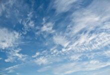 cloud CRM